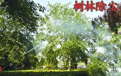 高压清洗机用于树木除尘
