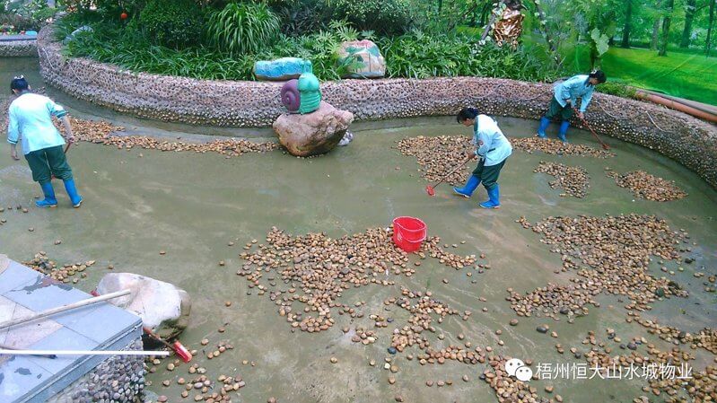 保洁团队正在忙碌地清洗人观水景